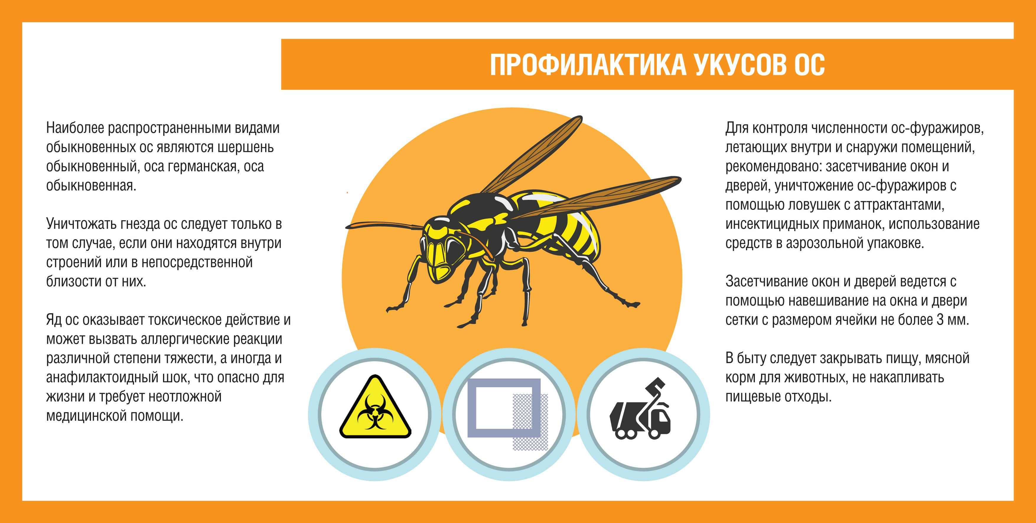 На фото описана профилактика укусов ос